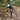 grondspots, spots zwart, buitenverlichting spots, moderne spots, grondspots tuin