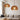 hanglamp hout, hanglamp bolvormig, hanglamp design, hanglamp modern, hanglamp eettafel