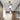 Moderne plafondlamp, moderne plafondlampen, moderne lamp woonkamer, moderne plafondlamp woonkamer, design plafondlamp, design plafonnieré, moderne plafonnière, moderne plafonnière woonkamer, moderne plafonnière slaapkamer