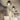 plafonnière industrieel, plafonnier zwart, industriële plafondlamp, industriele lamp plafond, industriele plafondlamp zwart, zwarte plafondlamp industrieel